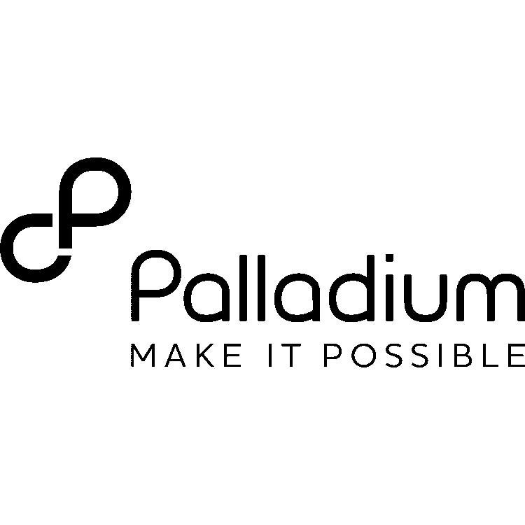 Palladium International uses DevResults